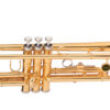 TROMPETE MICHAEL DUAL GOLD WTRM48BB – DUPLO DOURADO - Imagem 2