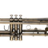 TROMPETE MICHAEL WTRM56 Bb – ESCOVADO - Imagem 2